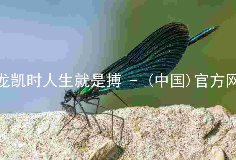 尊龙凯时人生就是搏 - (中国)官方网站