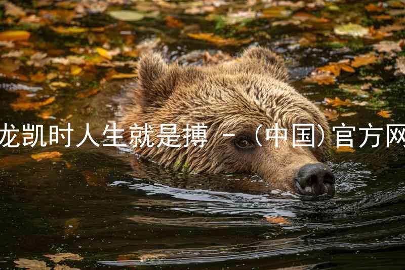 尊龙凯时人生就是搏 - (中国)官方网站